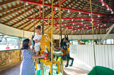 Brenham Flying Horse Antique Carousel